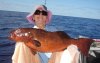 Coral Trout - 90cm